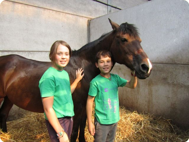 Activak jeugdvakanties – Paardrijden ... en français