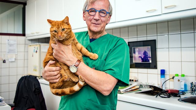 Dierenarts Frans Van Tendeloo