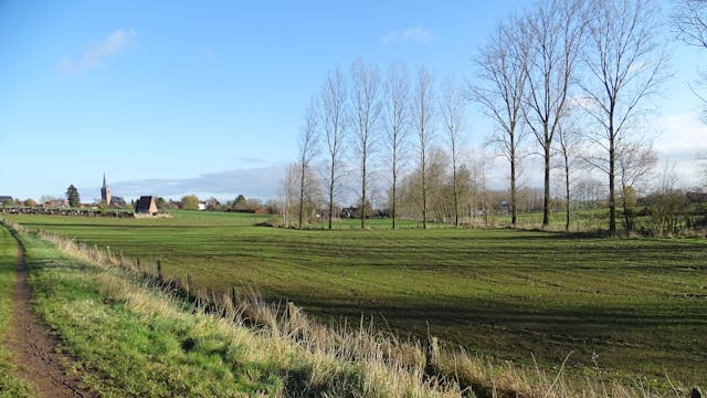 Wandelen en zoeken in de Vlaamse Ardennen