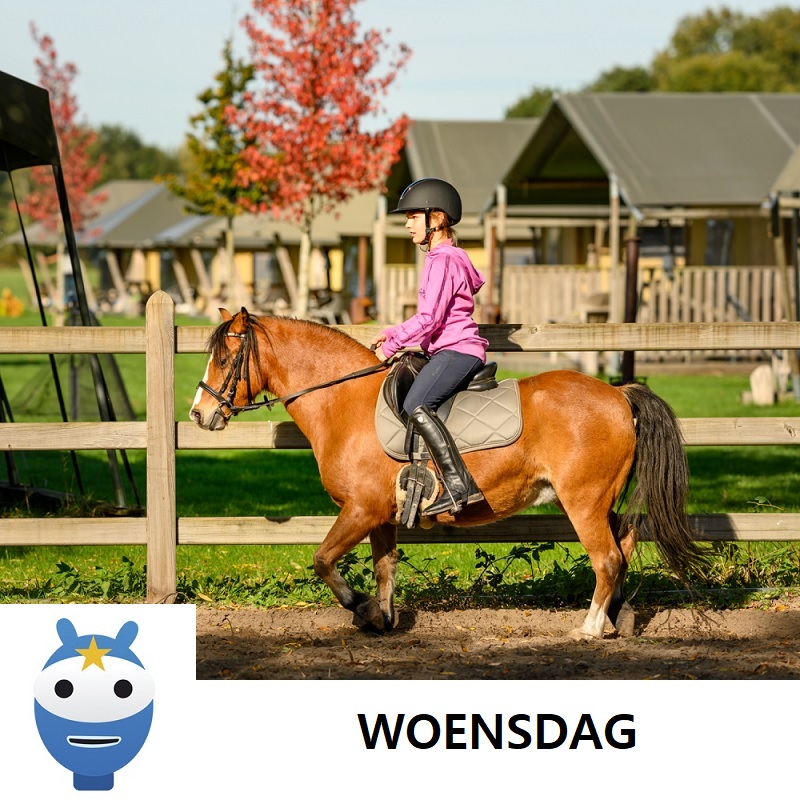 PONYRIJDEN