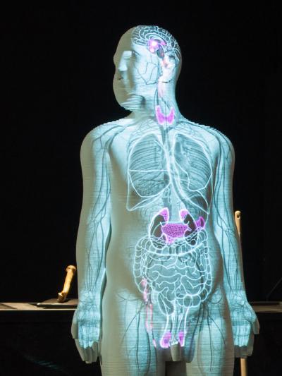 Atelier Je lijf gestript