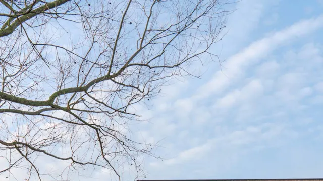 moderne kijkwoning in Kuurne