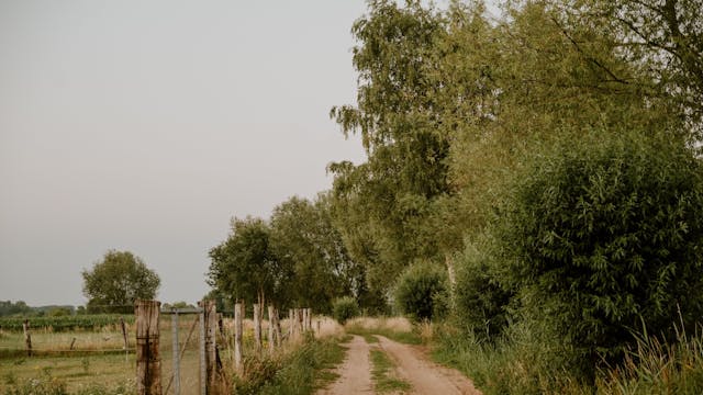 Afbeelding voor evenement Gegidste wandeling vallei van de Kleine Nete