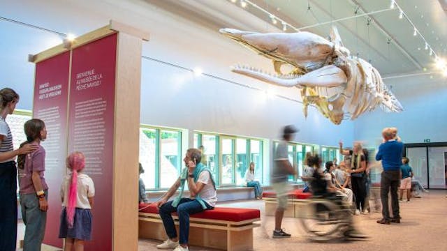 NAVIGO Visserijmuseum - Museumbezoek