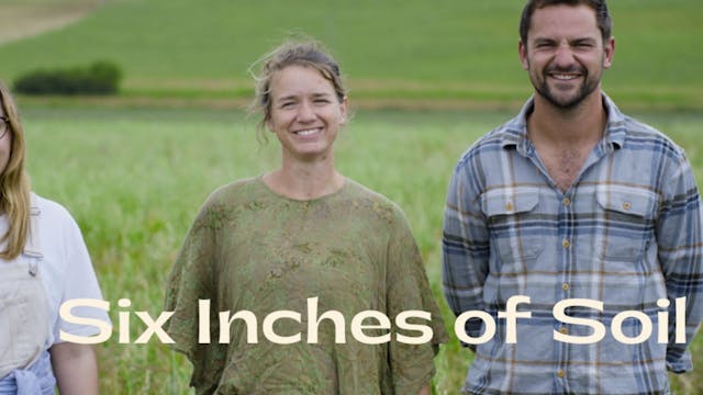 Six inches of Soil