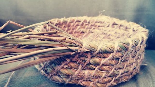 Coilen met wilde planten