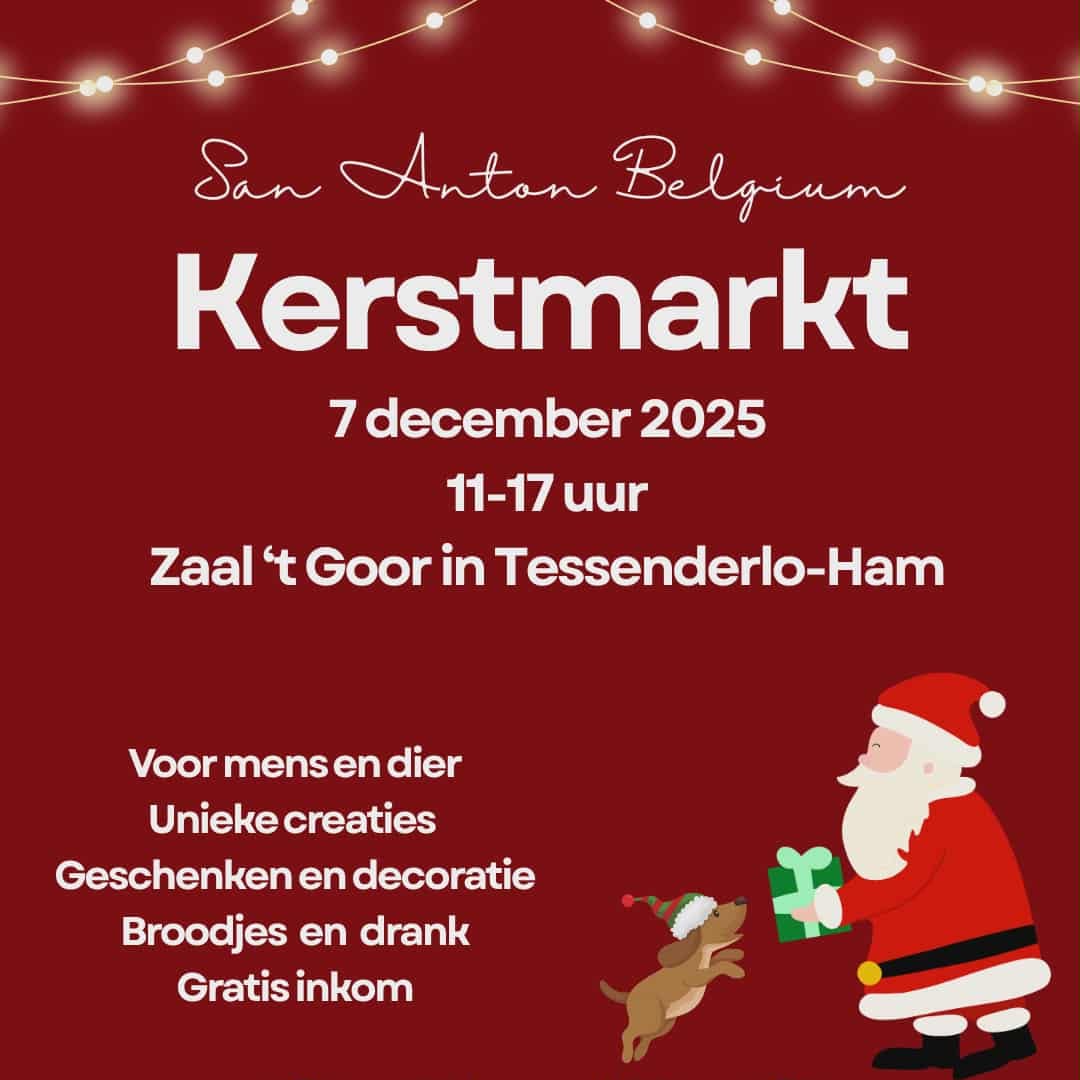 Affiche kerstmarkt