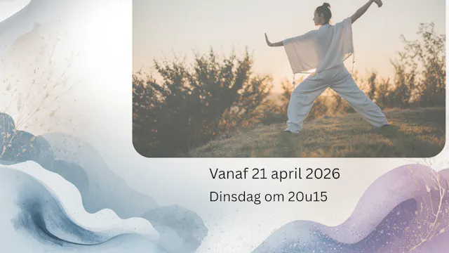 Tai Chi bij zonsondergang