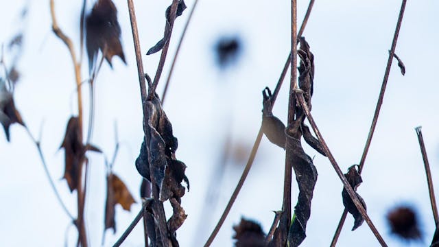 Natuurpunt
