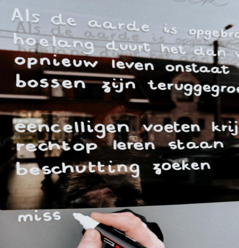 GEMEENTEBESTUUR KNOKKE-HEIST