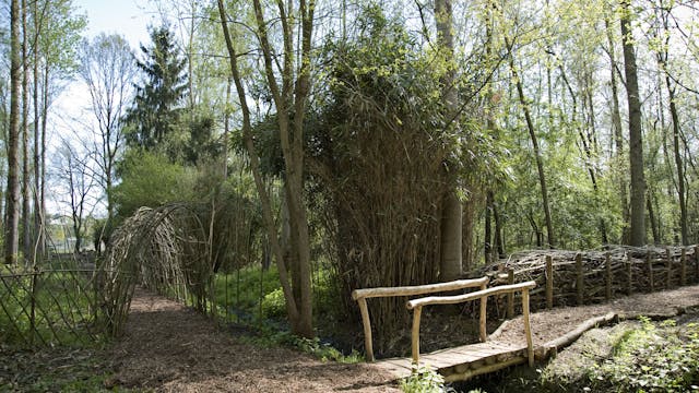 Speelbos 't Waterdraakje