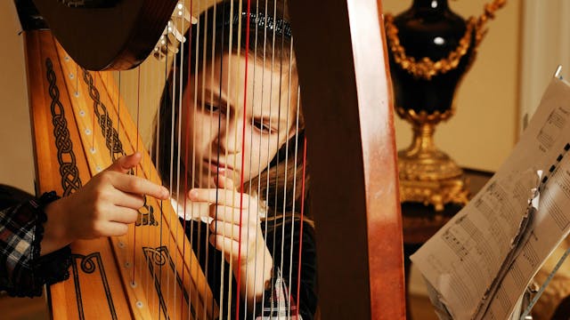Tederheid in klassieke muziek - An Willems / DINAMO