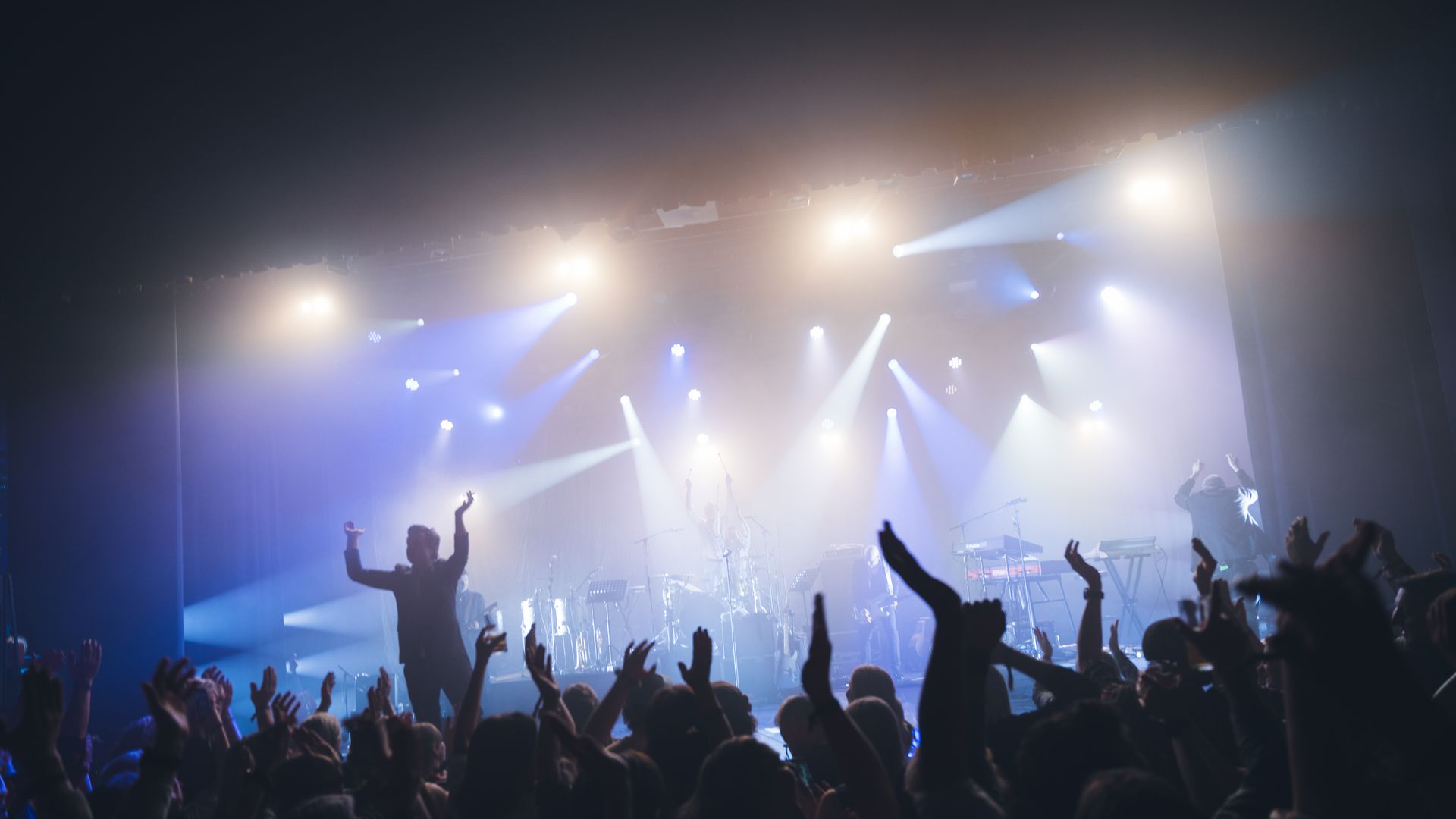 Catch in the Dark IV - Come and reveal the mystery