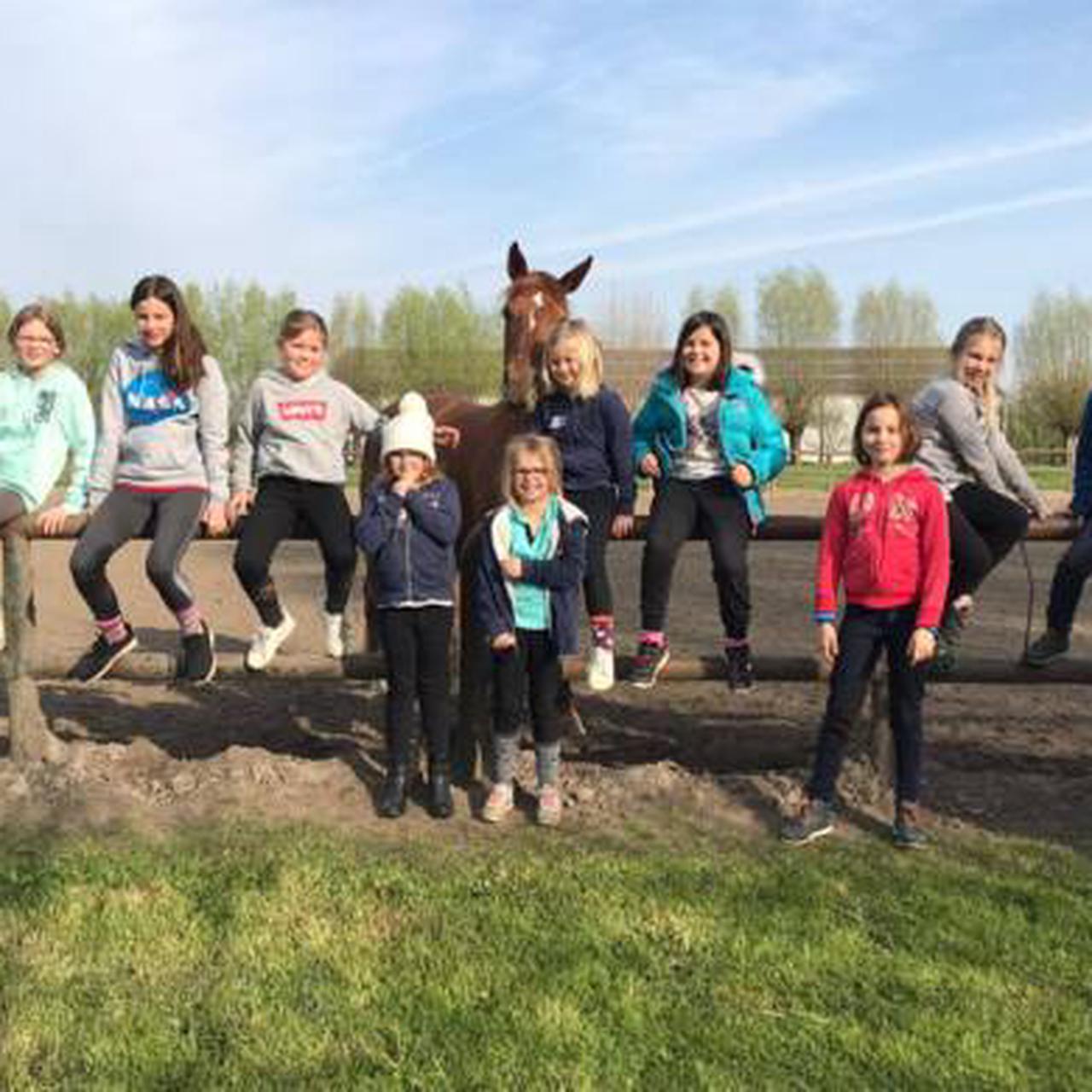 Paardrijden in de Leiestreek