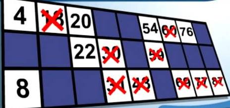 Bingo Okra Sint-Pieter & Paul