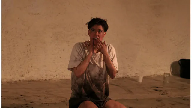 Stefania Olafsdottir — Dear BioDaddy,