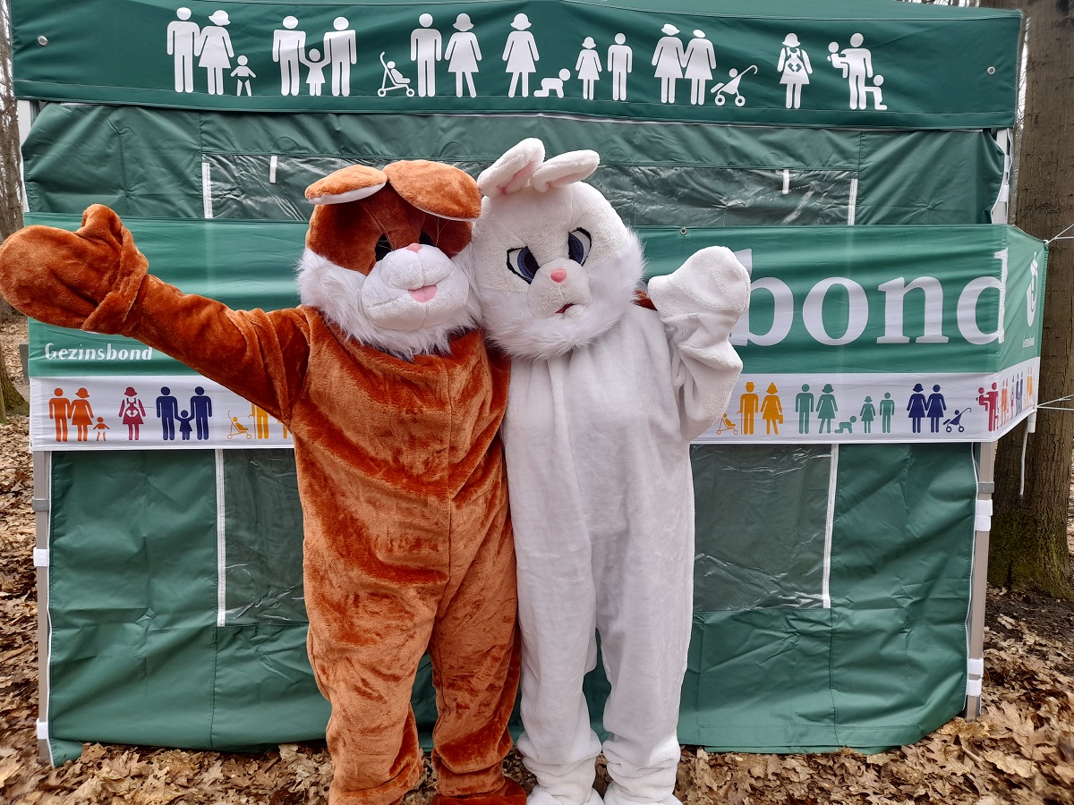 Image for gzbd activity