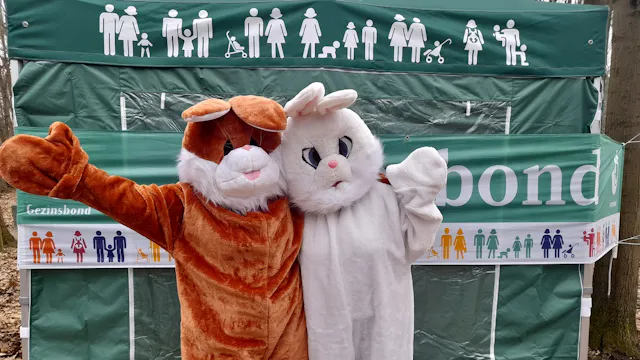 Image for gzbd activity