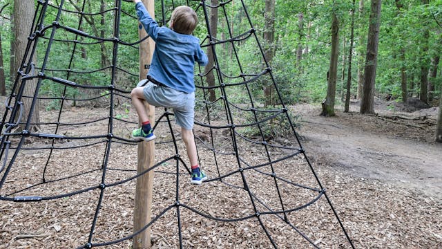 Multimovepad Brasschaat