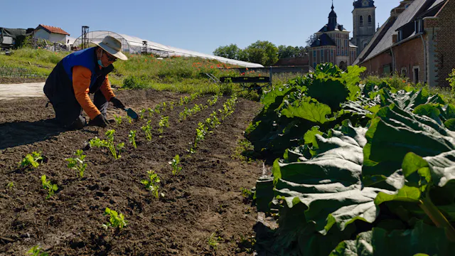 veld bioboerderij de Wikke