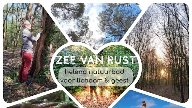 Zee van rust