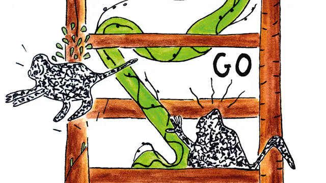 Veerkrachtladder - Up-Go-Down: Spelen met veerkracht