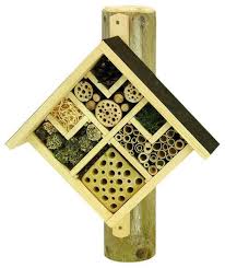 Image for gzbd activity