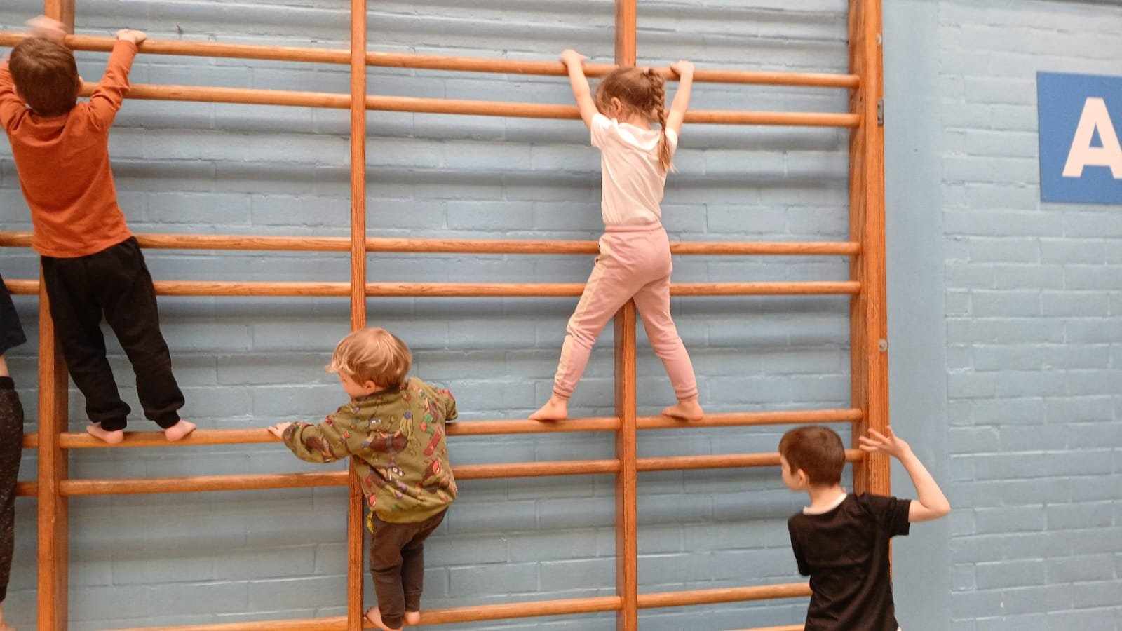 Krokus Ballenkermis - sportkamp kleuter