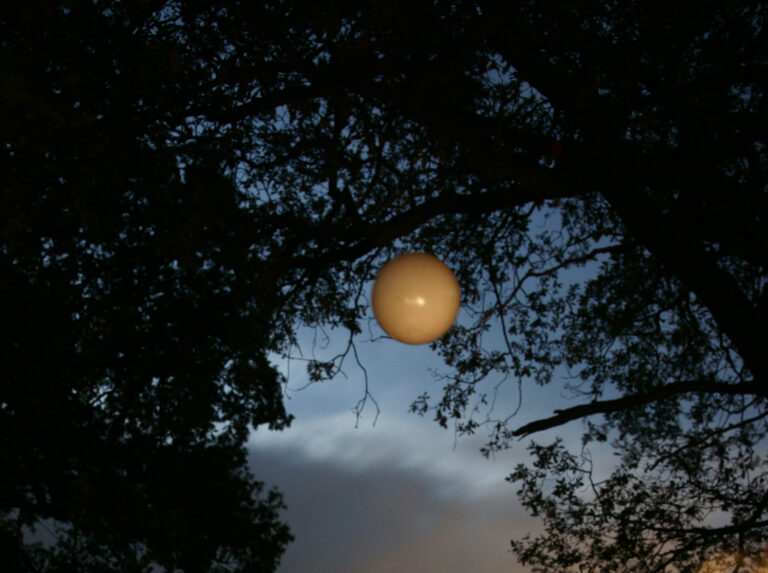 Hear Here Begum Erciyas