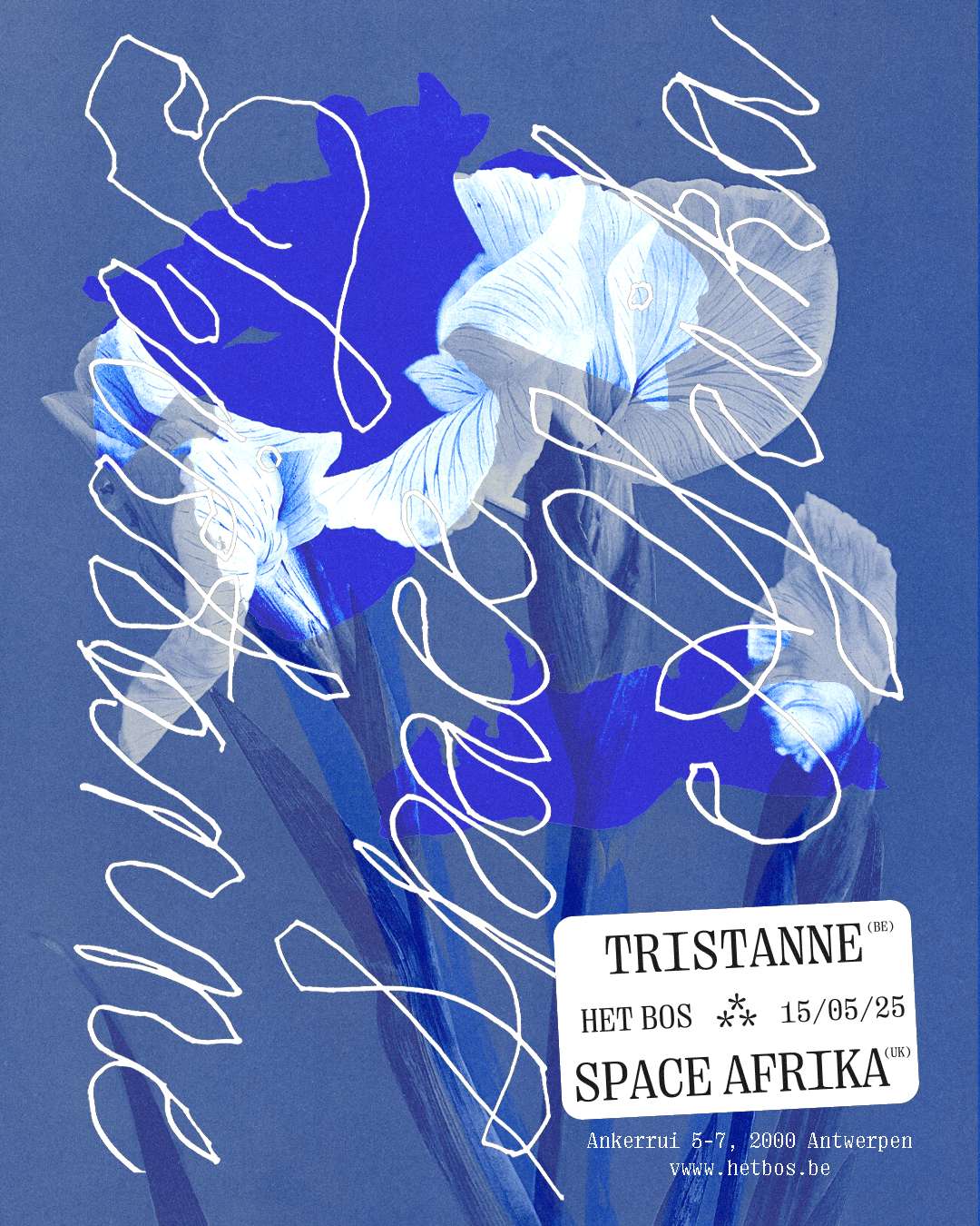 Tristanne + Space Afrika