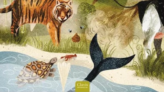 draai een bolleke met een dierenweetje