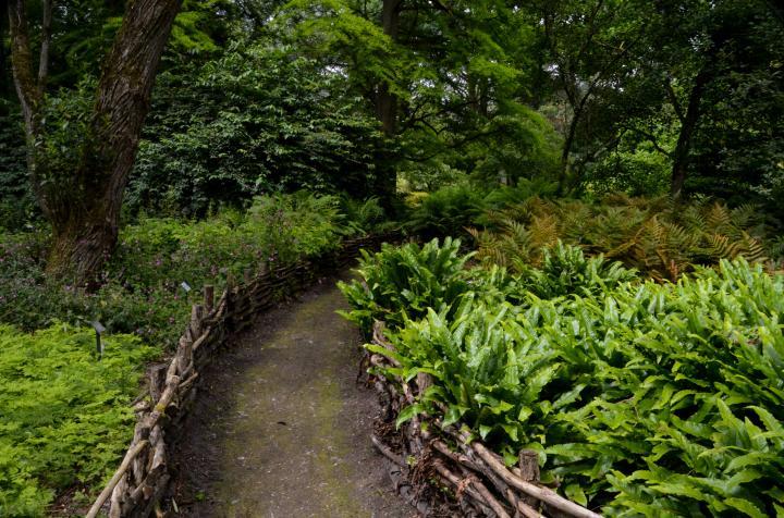 Dansworkshop buiten: Arboretum Bokrijk - Genk