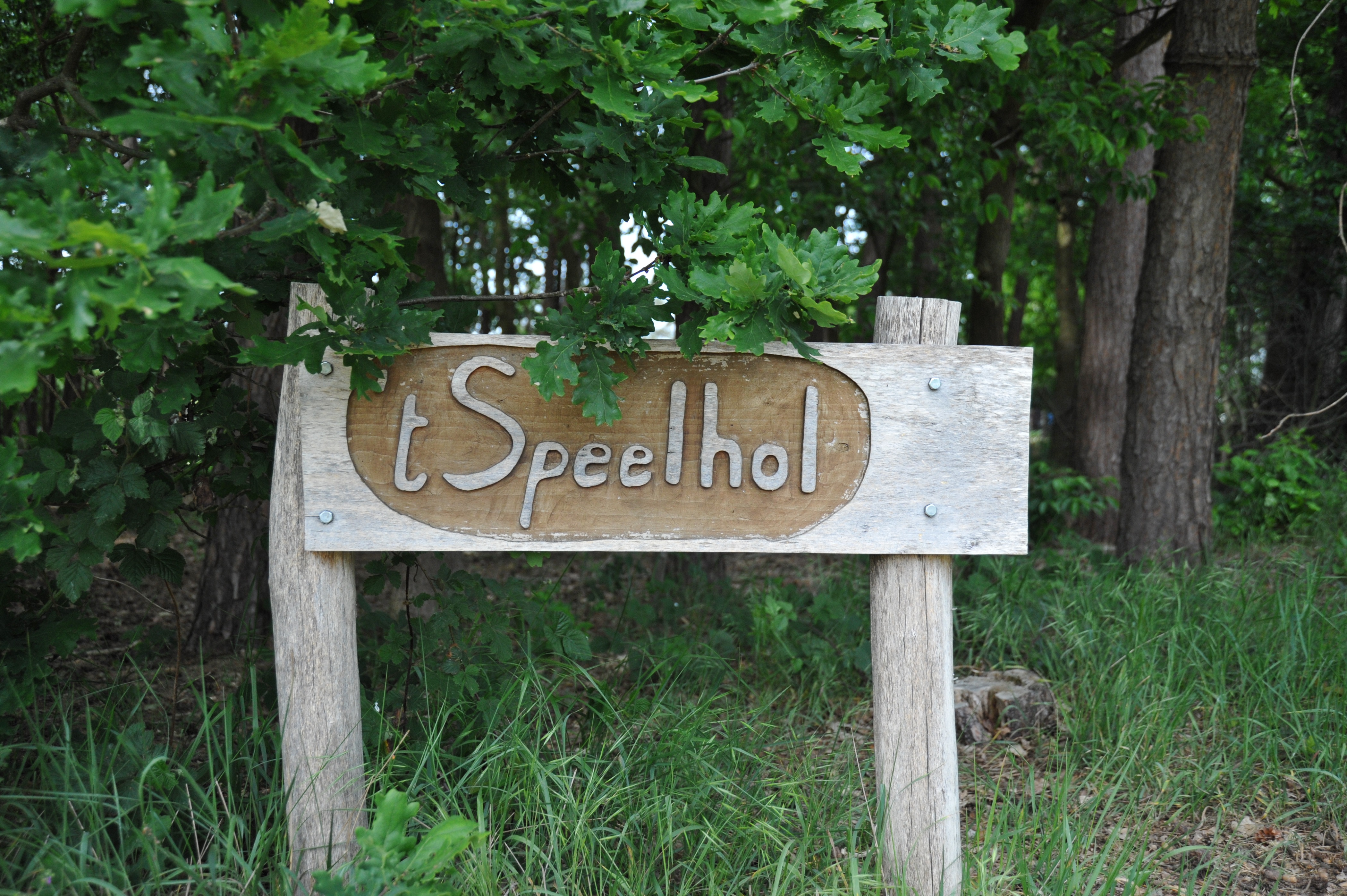 Speelbos 't Speelhol