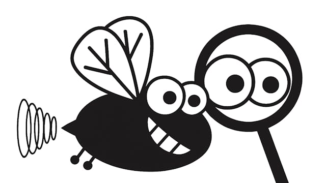 Vlieg met vergrootglas