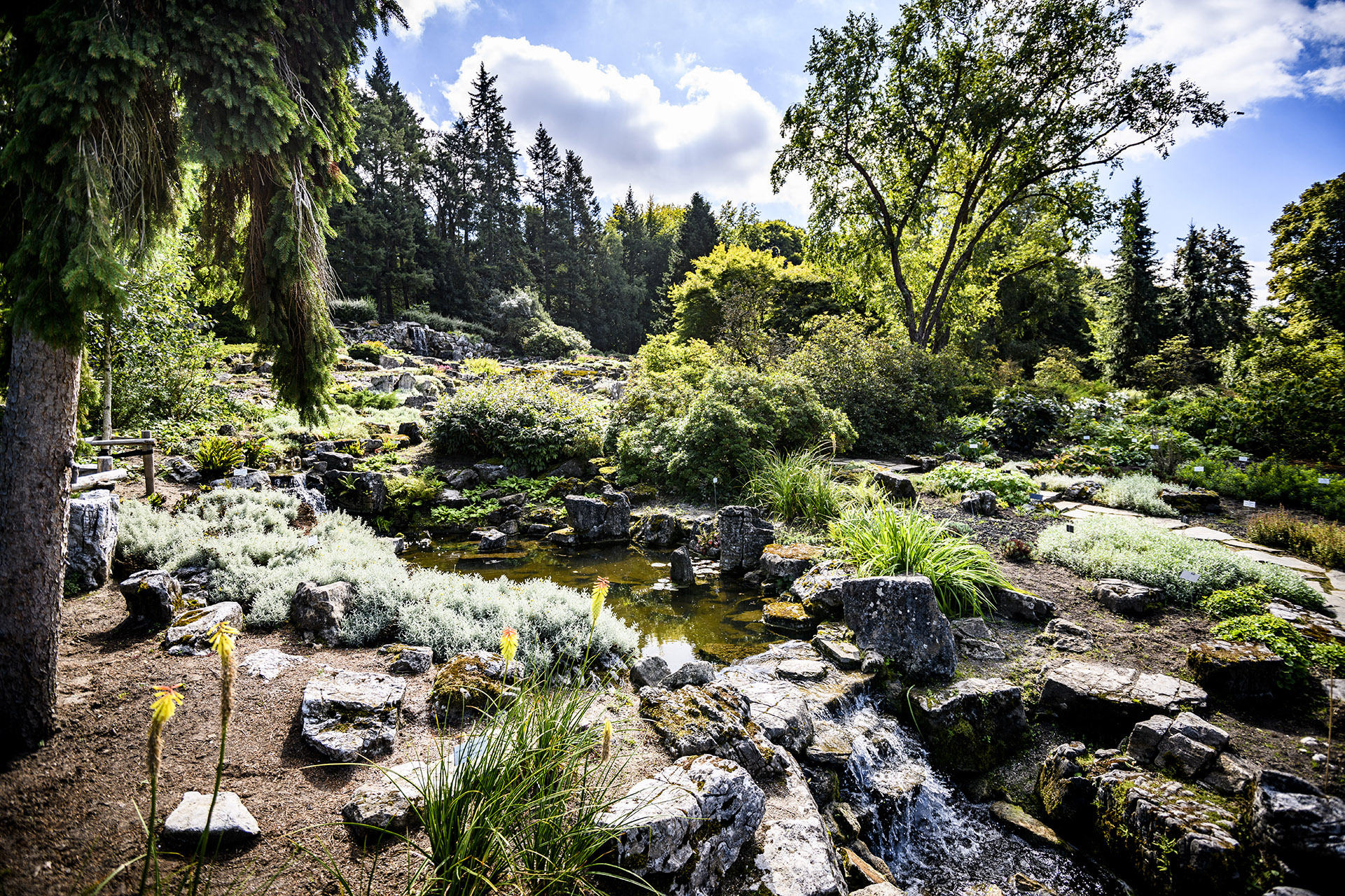 Begeleide wandeling rotstuin Huizingen