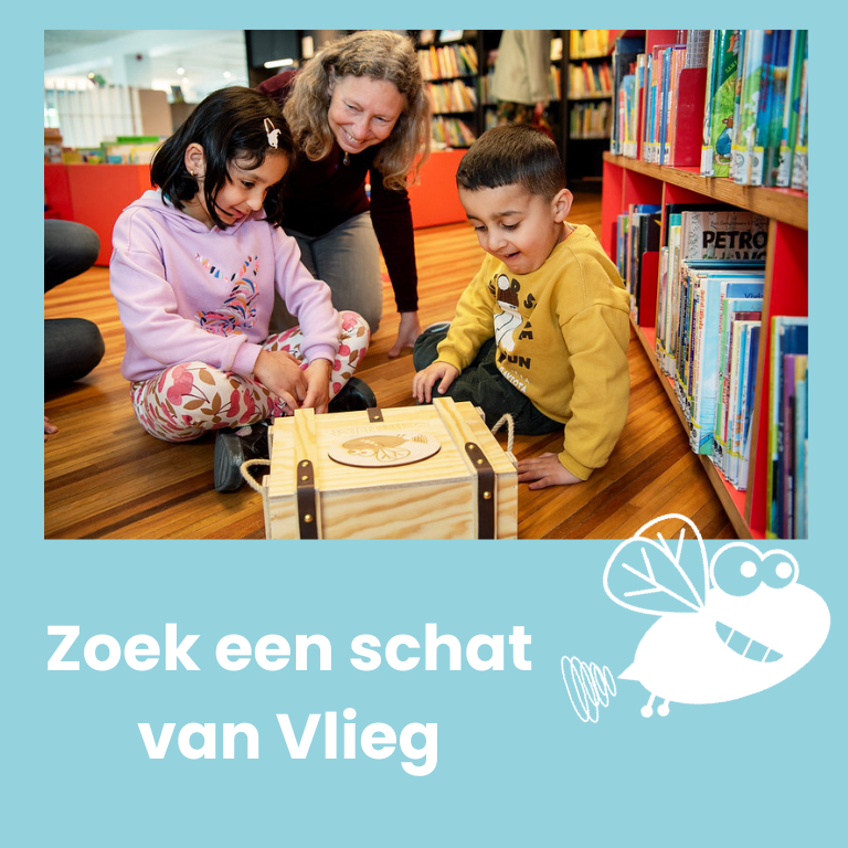 Zoek een schat van Vlieg