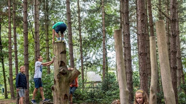 Speelbos Kolis