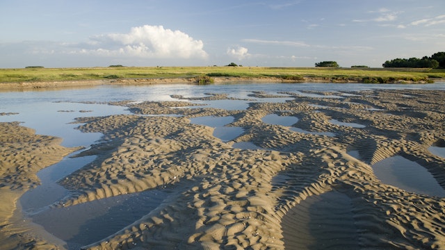 Zwin Natuur Park - Zwinvlakte