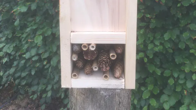 Workshop Maak je uniek vogelhuisje met insectenhotel