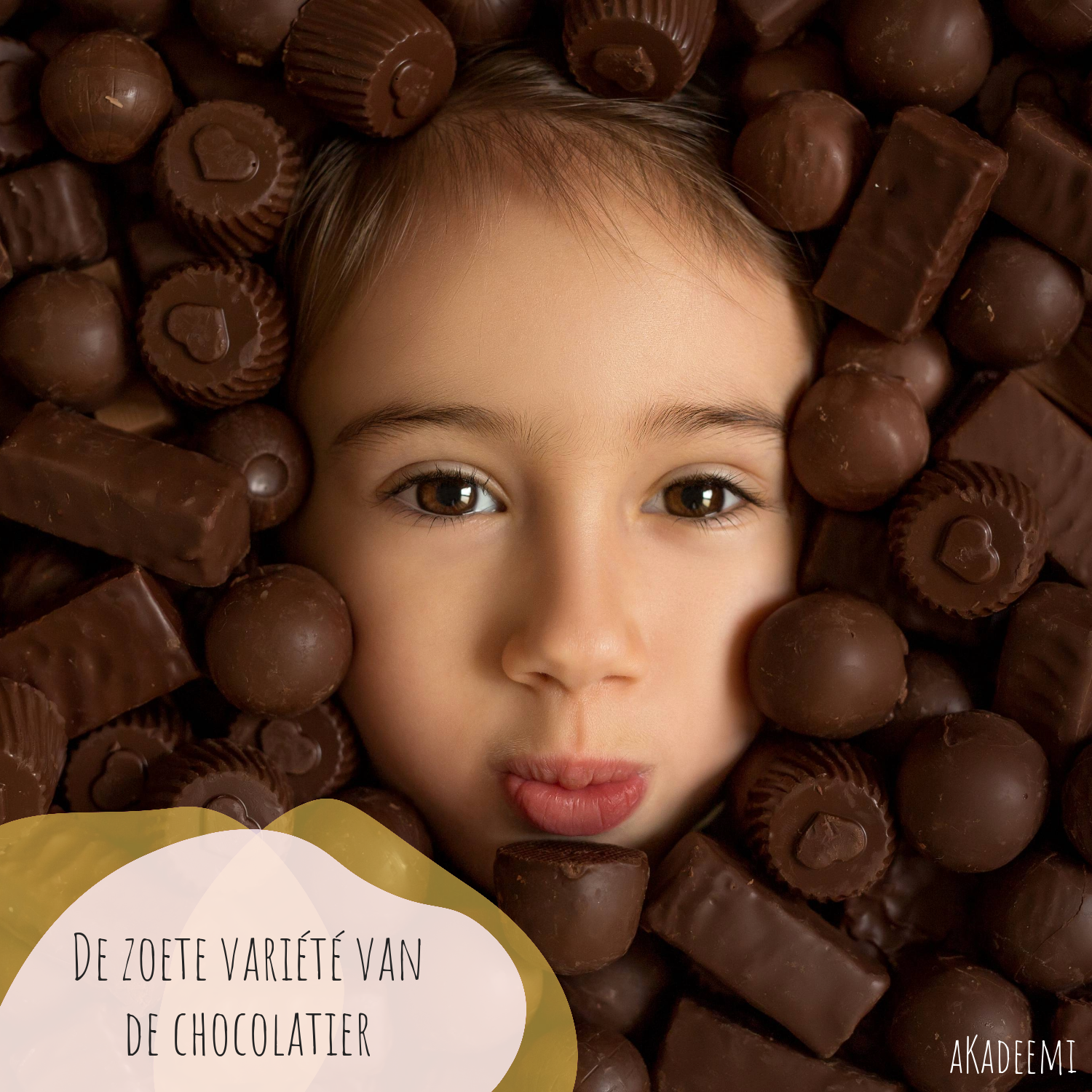 De zoete variété van de chocolatier