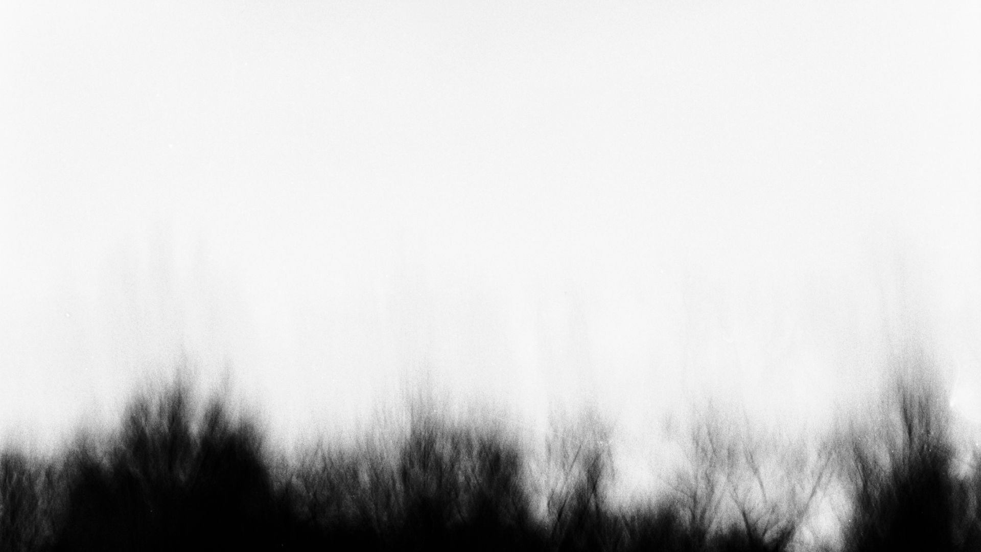 Tears into Light - Sofie Vanden Eynde & Imago Mundi