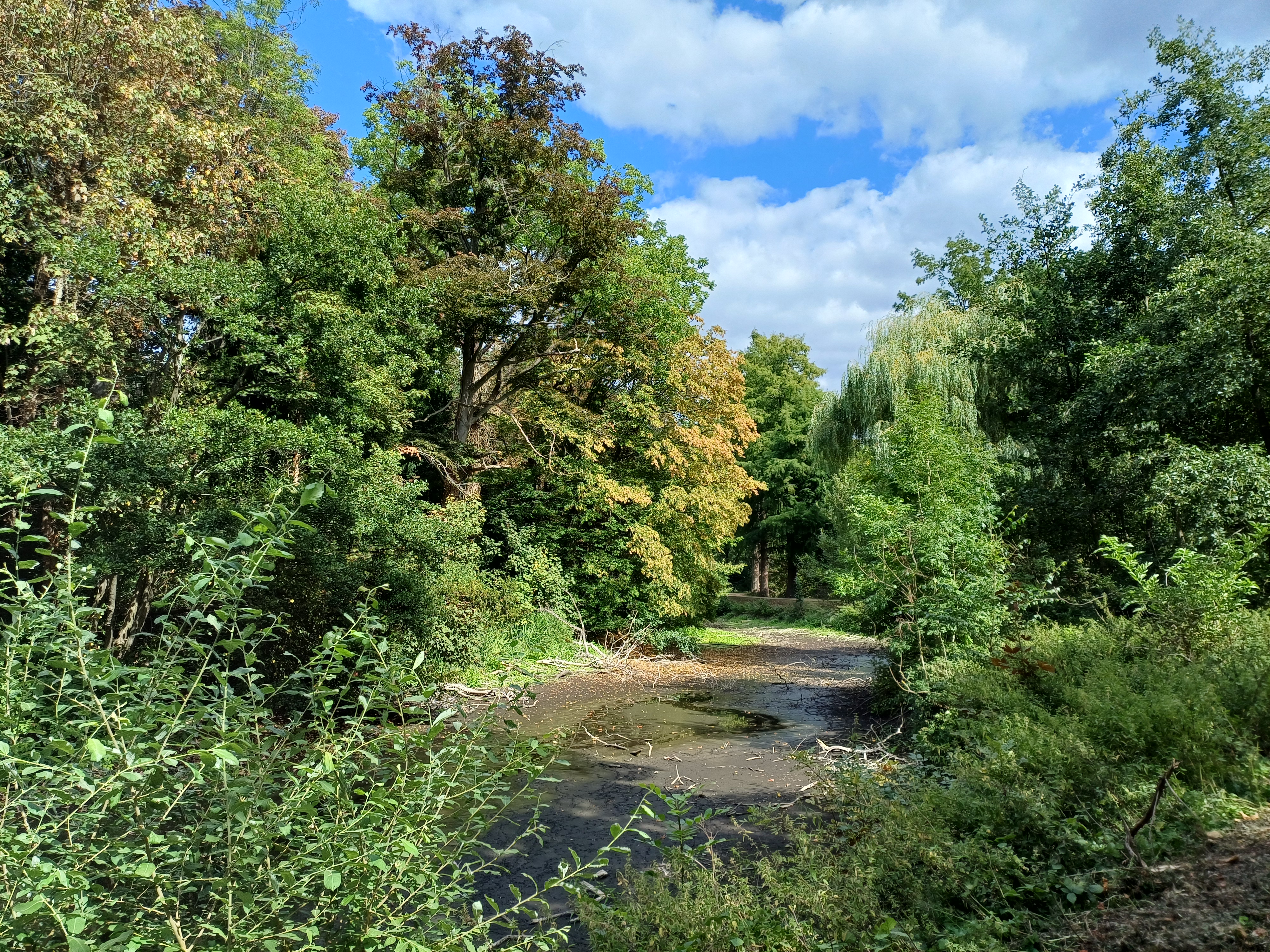 Droogte in het Rivierenhof