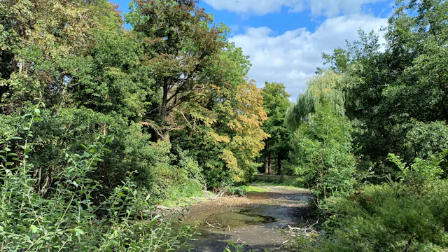Droogte in het Rivierenhof