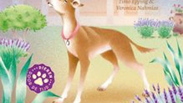 Luna de hond. Avontuur in Rome