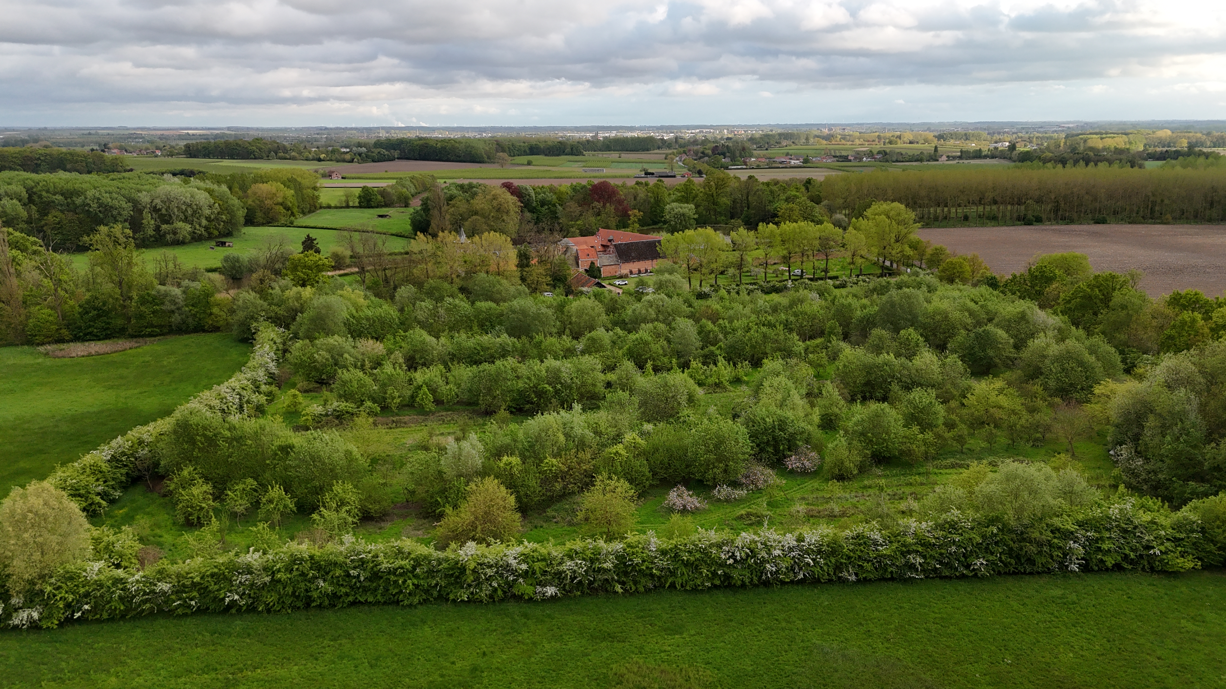 voedselbos de nieuwe hof