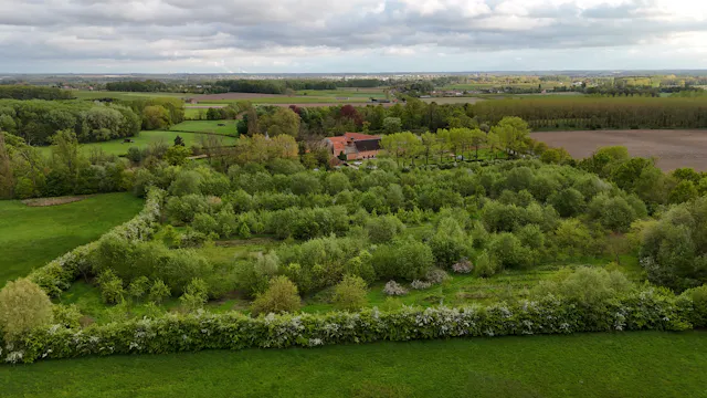 voedselbos de nieuwe hof