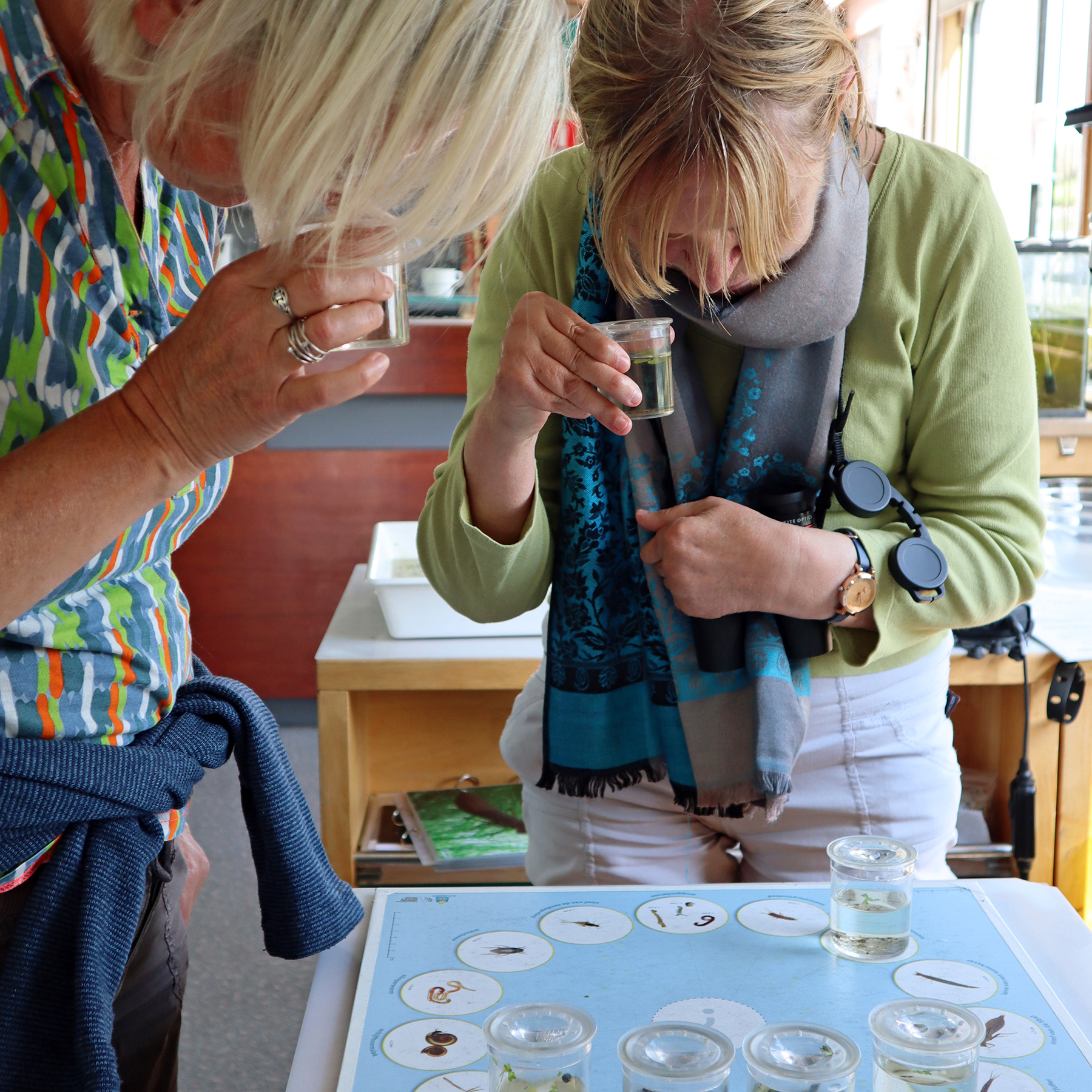 Onderzoek in labo aan boord van de Milieuboot