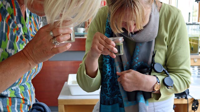 Onderzoek in labo aan boord van de Milieuboot