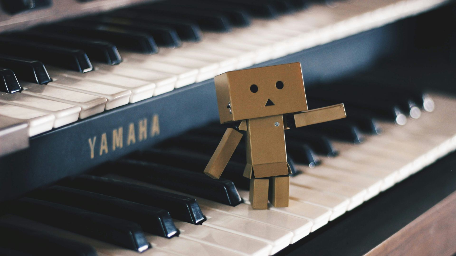 Metamorfose in klassieke muziek - An Willems