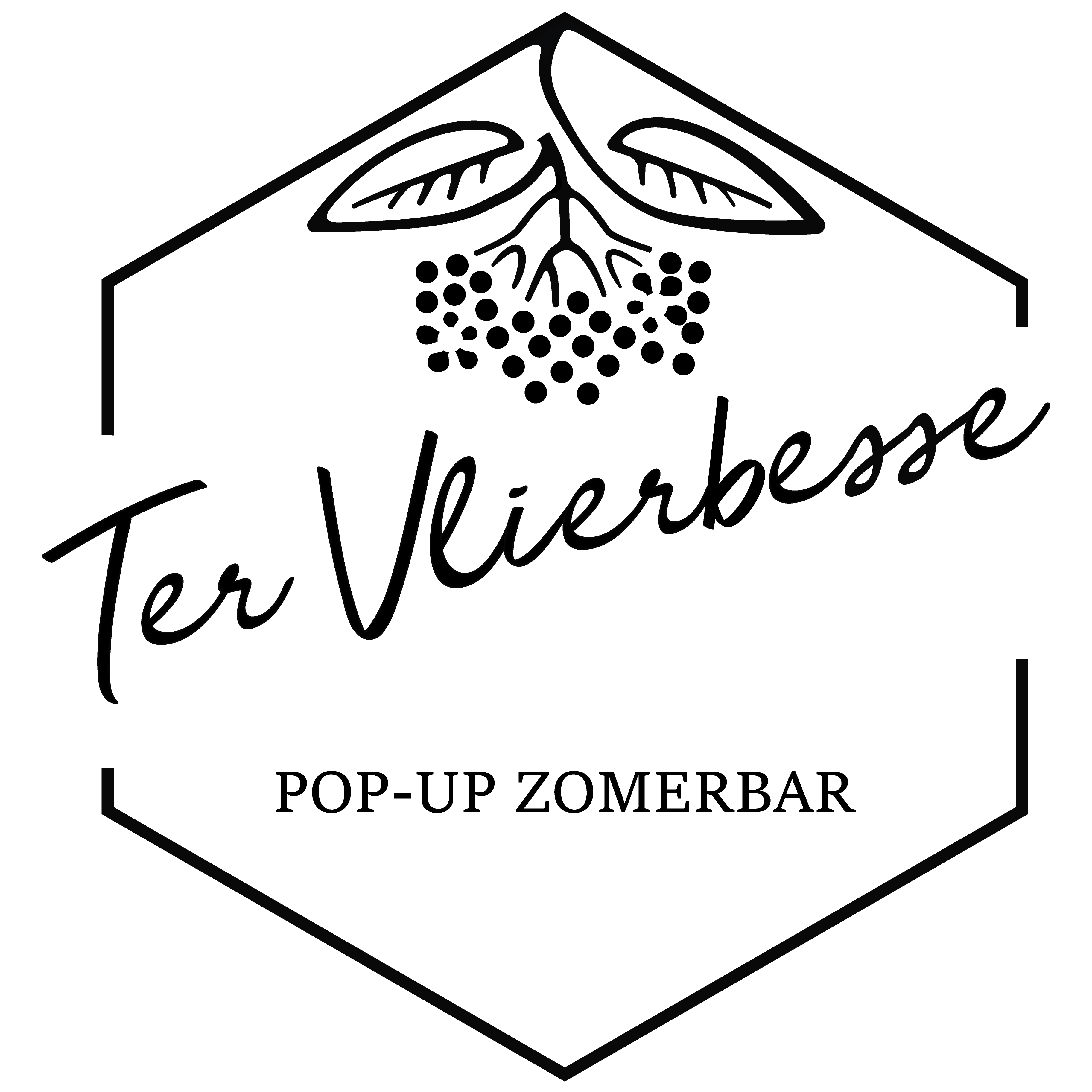 Logo Zomerbar Ter Vlierbesse